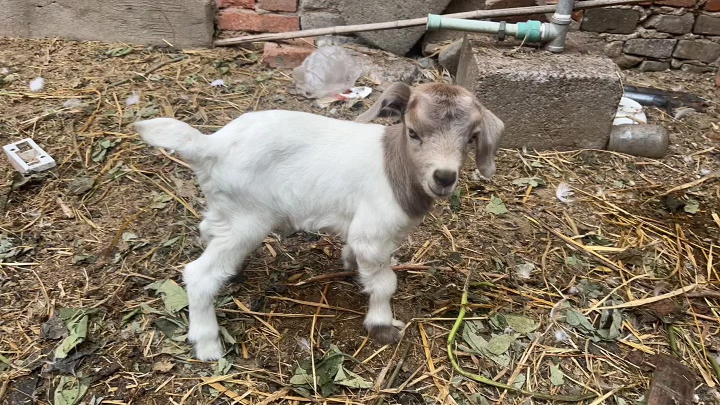 �����ˣ���������???