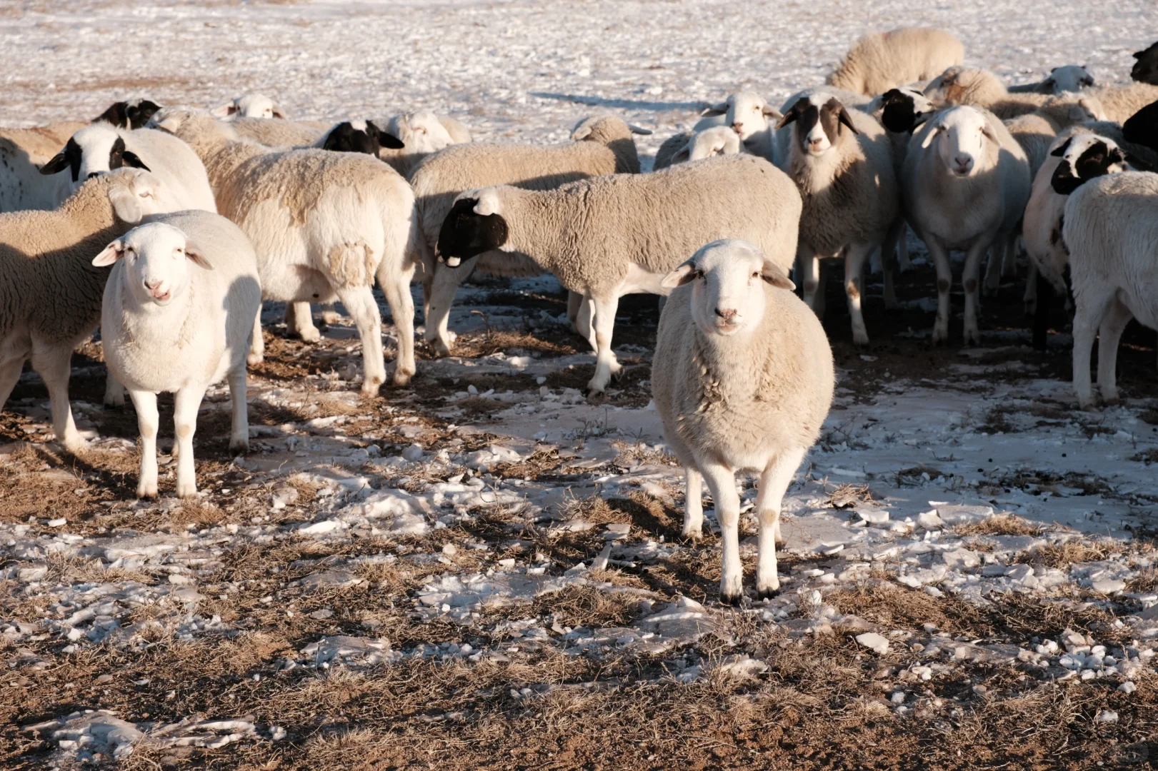 ��������/ ���ߵ�������