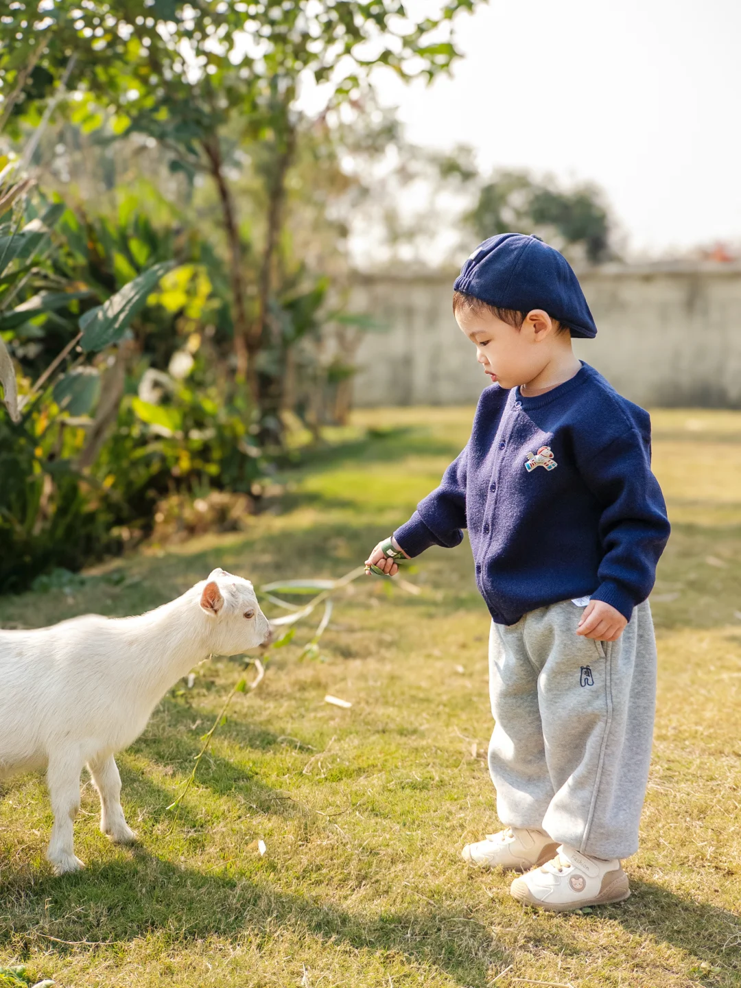 ��30+��һ��ι�򣬺���2��Ҳ�ǵ�һ��ι��?