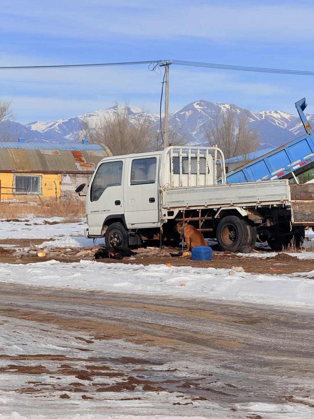 �½����Ļ�ʳ��һ��ֻ�½����ǲ����Ե���ʳ