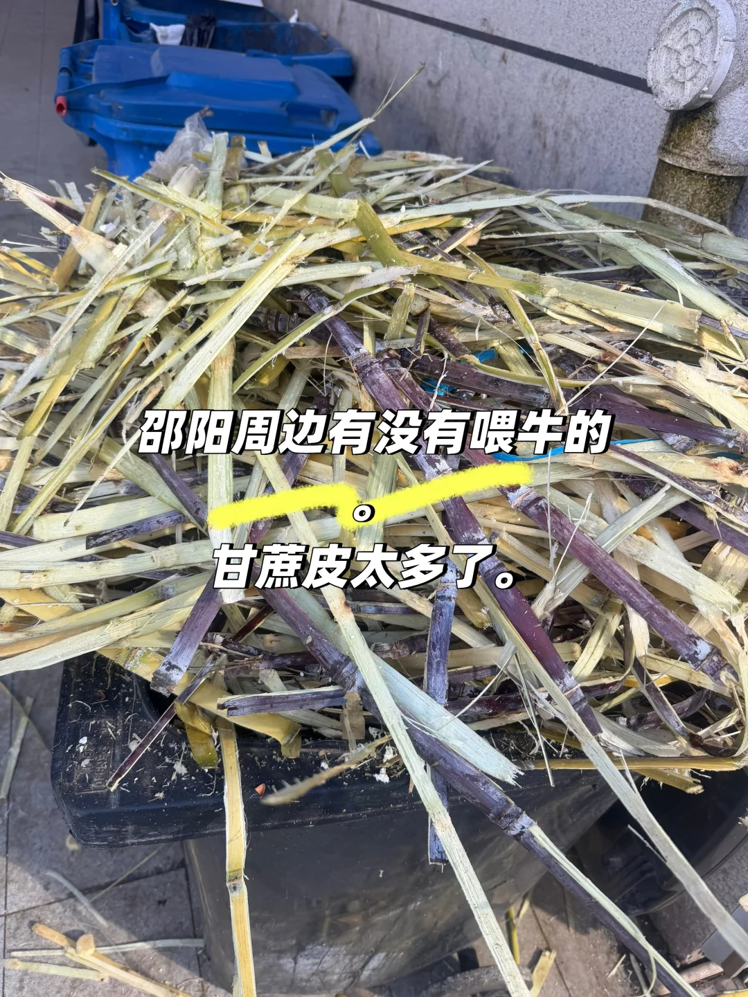 �����ܱ�ιţ�������и��ˡ�