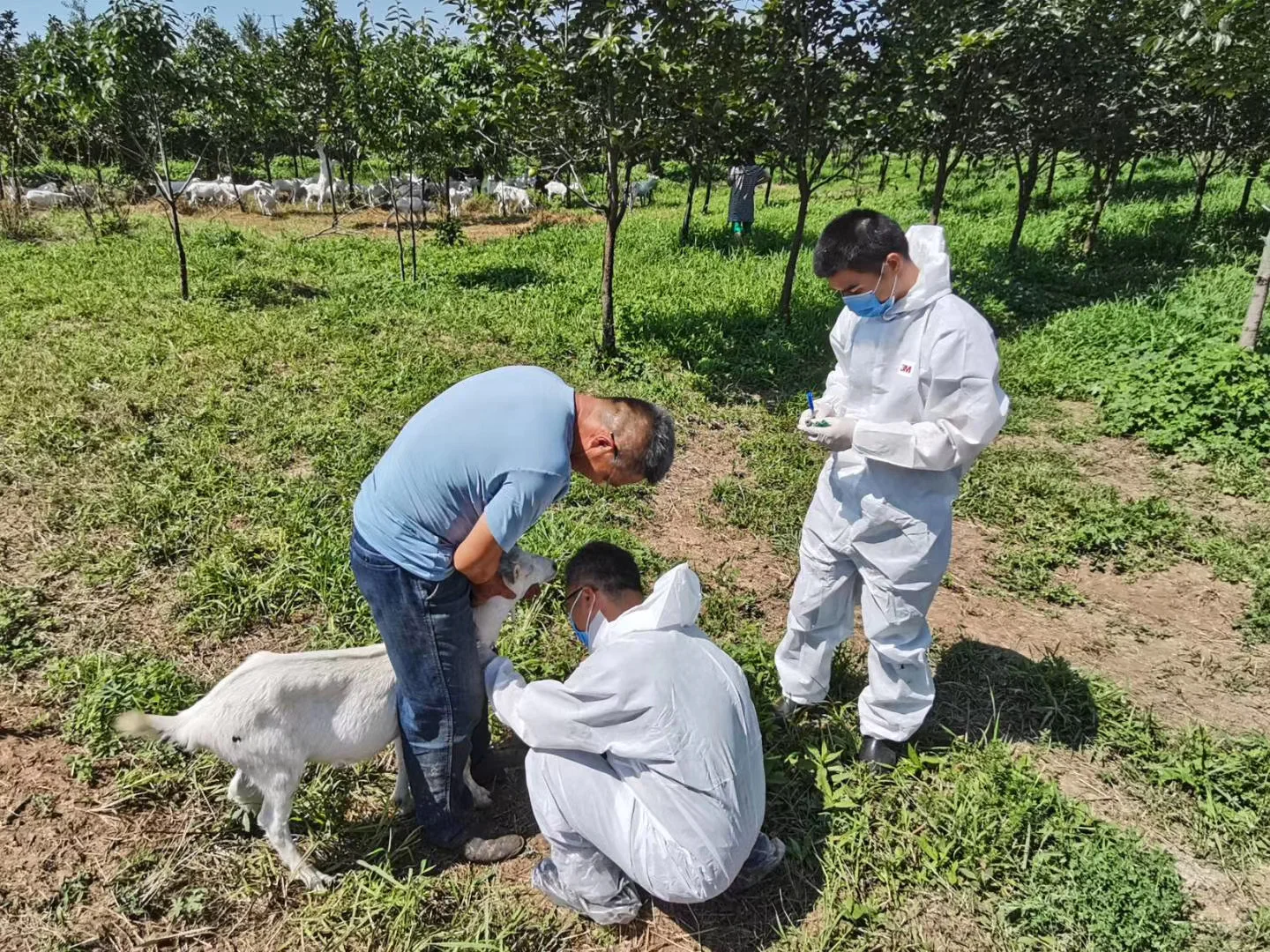 ��Ȼ����˭������