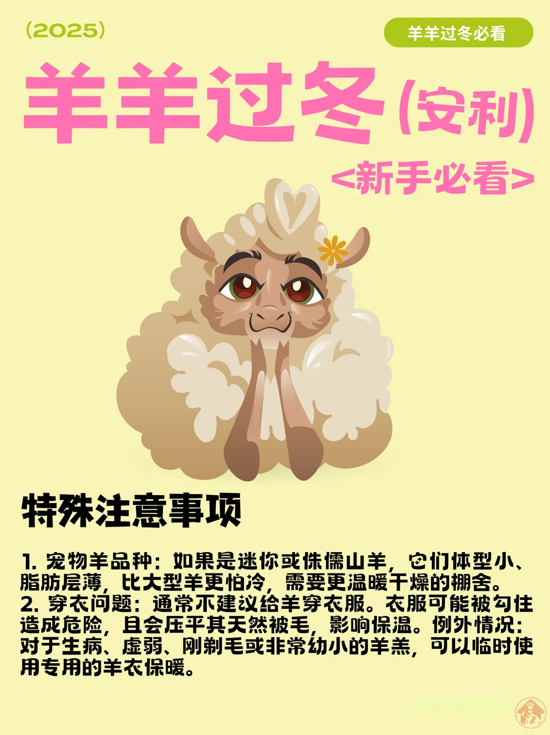 �����������ҵĳ������չ˳ɡ�С��������