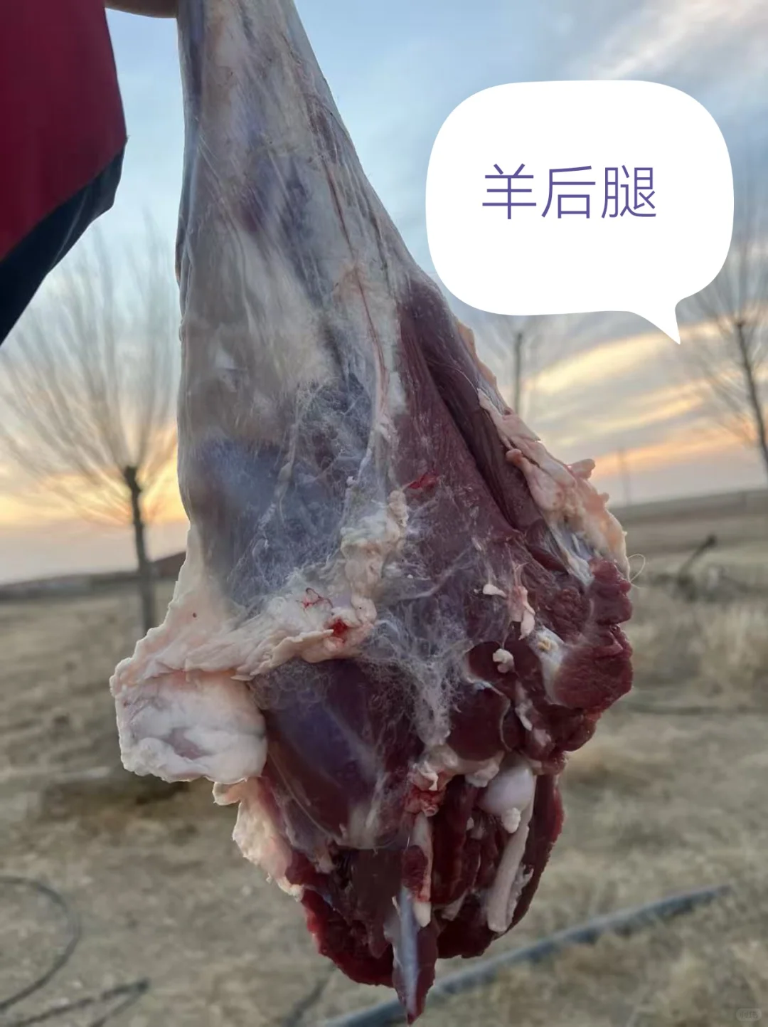 ����ܶ౦�������ҼҲ�ԭ�����