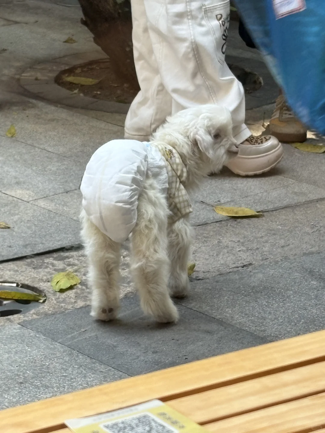 ���ں����׵��۹⻭��֮��ֽ���С��