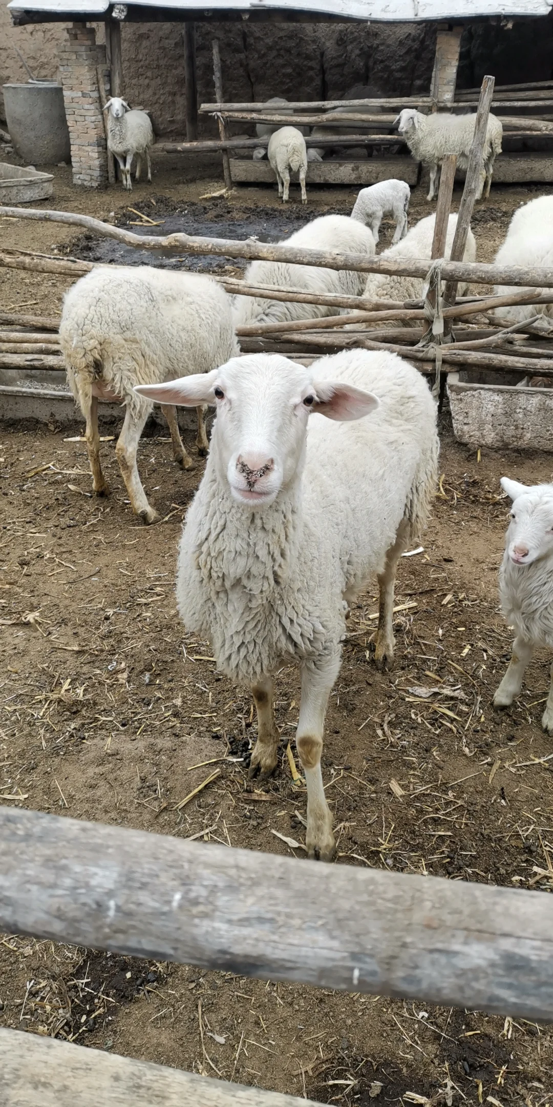 �����ڼ�����ɽ���������ڸ��