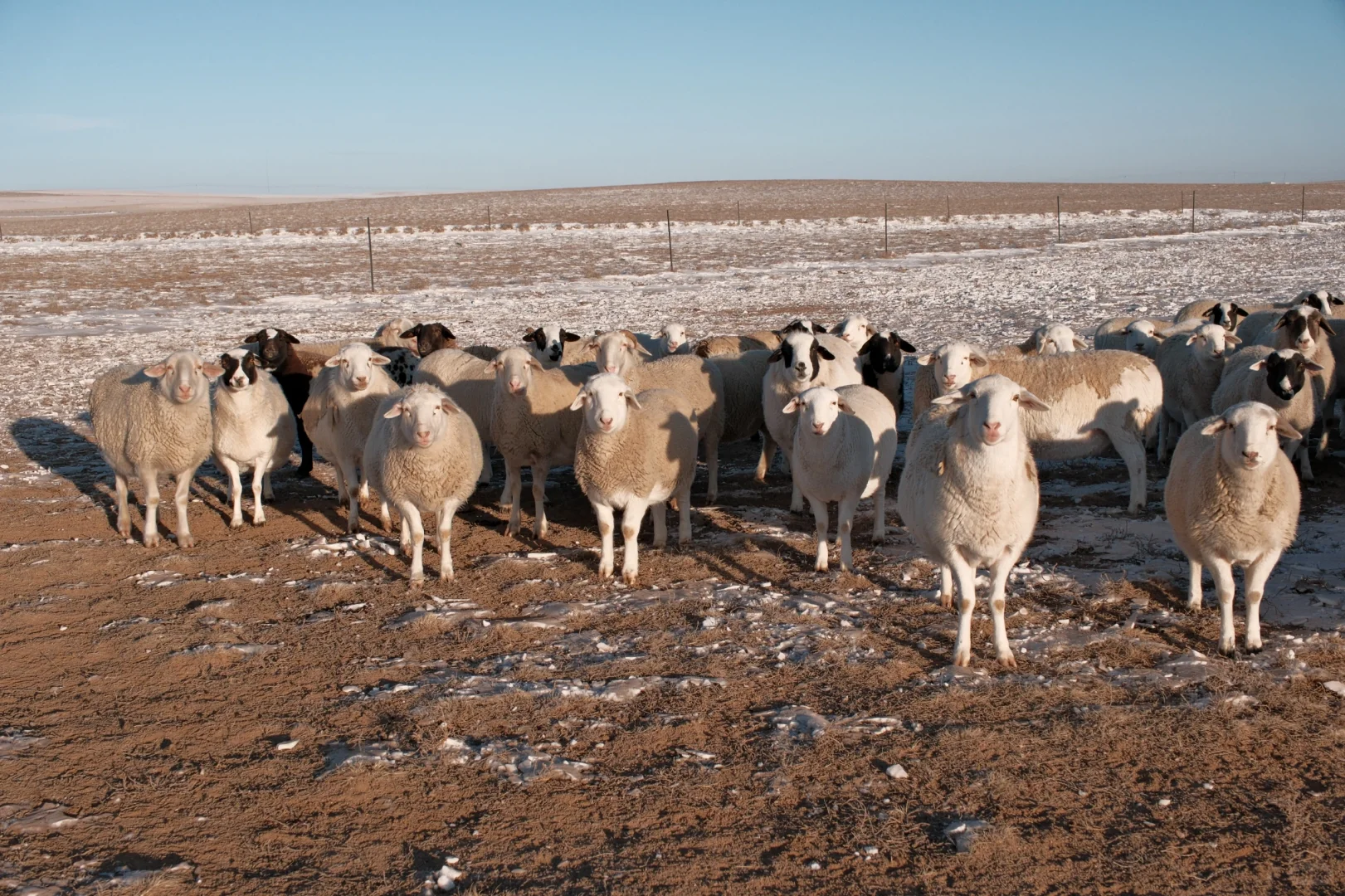 ��������/ ���ߵ�������