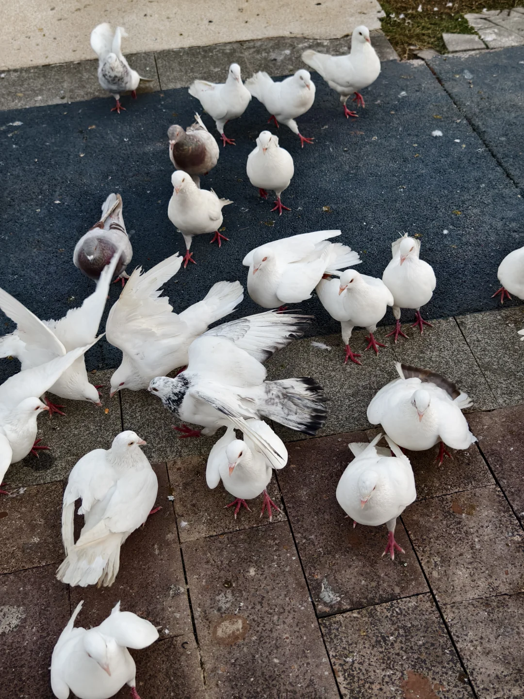 ��������������?