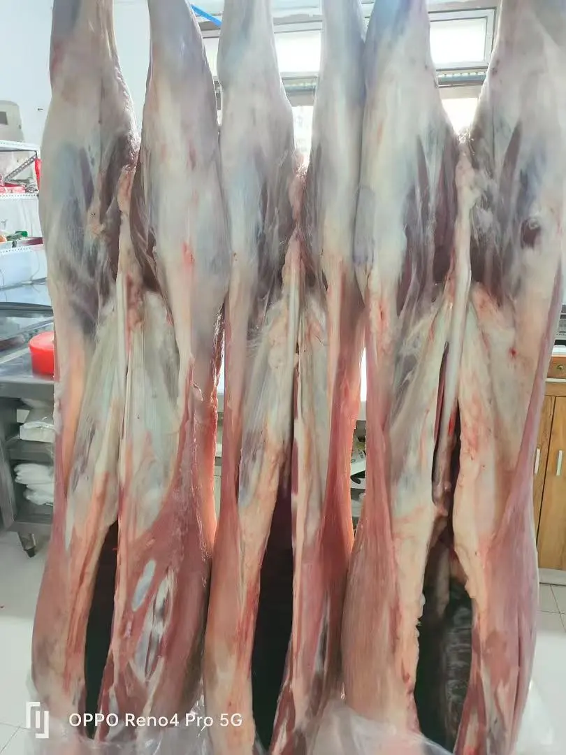 ��¼һ���Լ�������һ�������������ﻰ