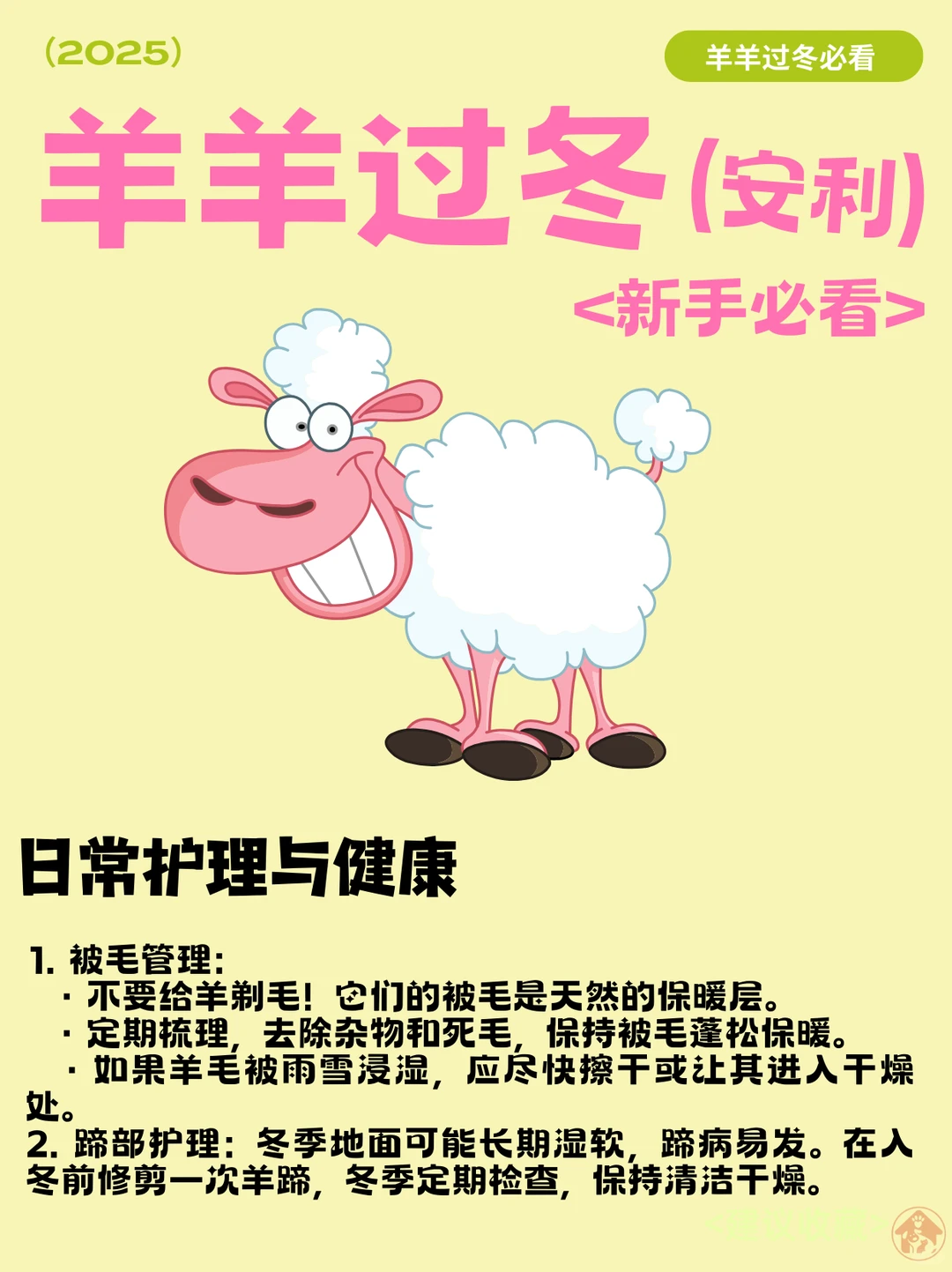 �����������ҵĳ������չ˳ɡ�С��������