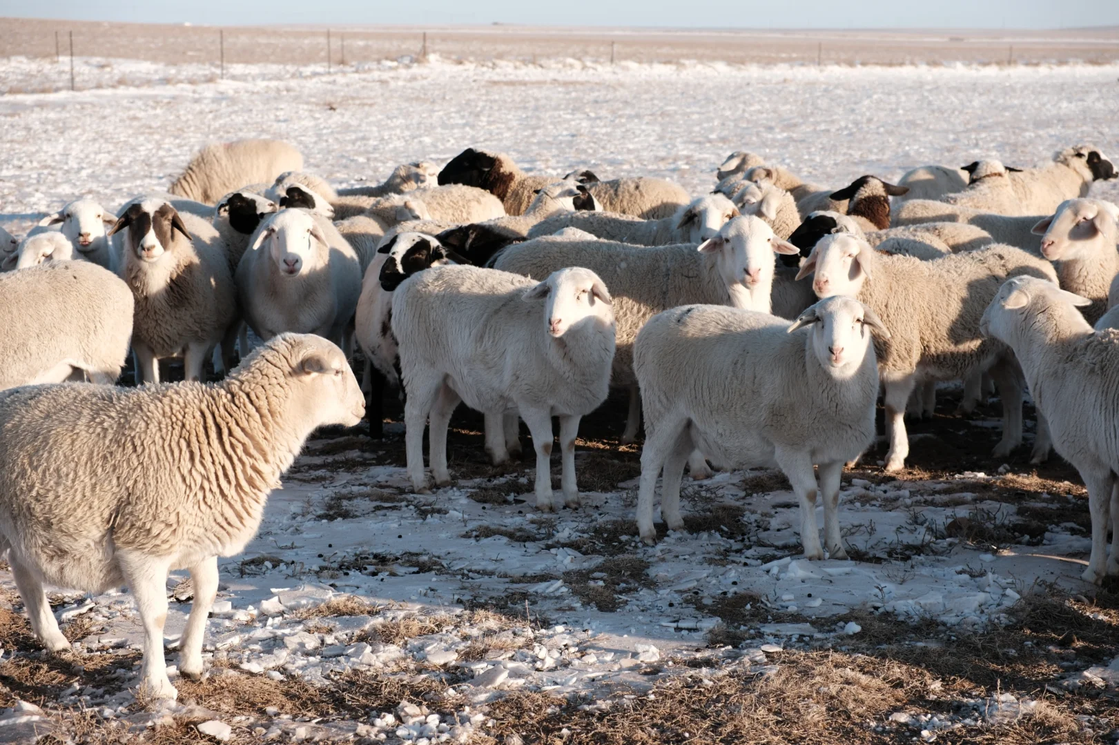 ��������/ ���ߵ�������