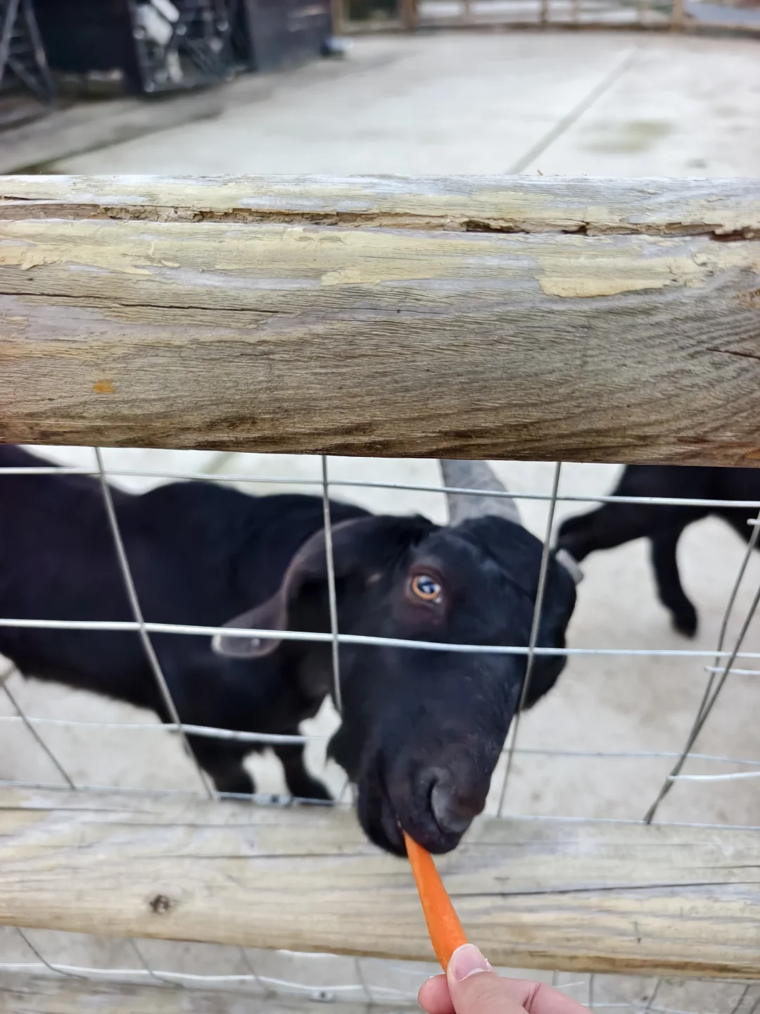 ��������������?