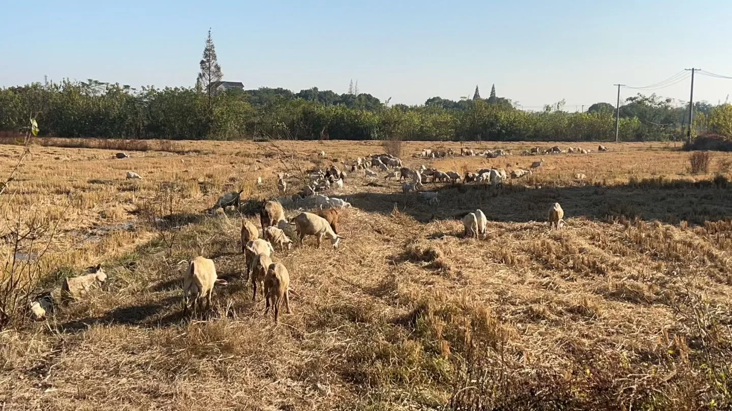 �����ˣ���������???