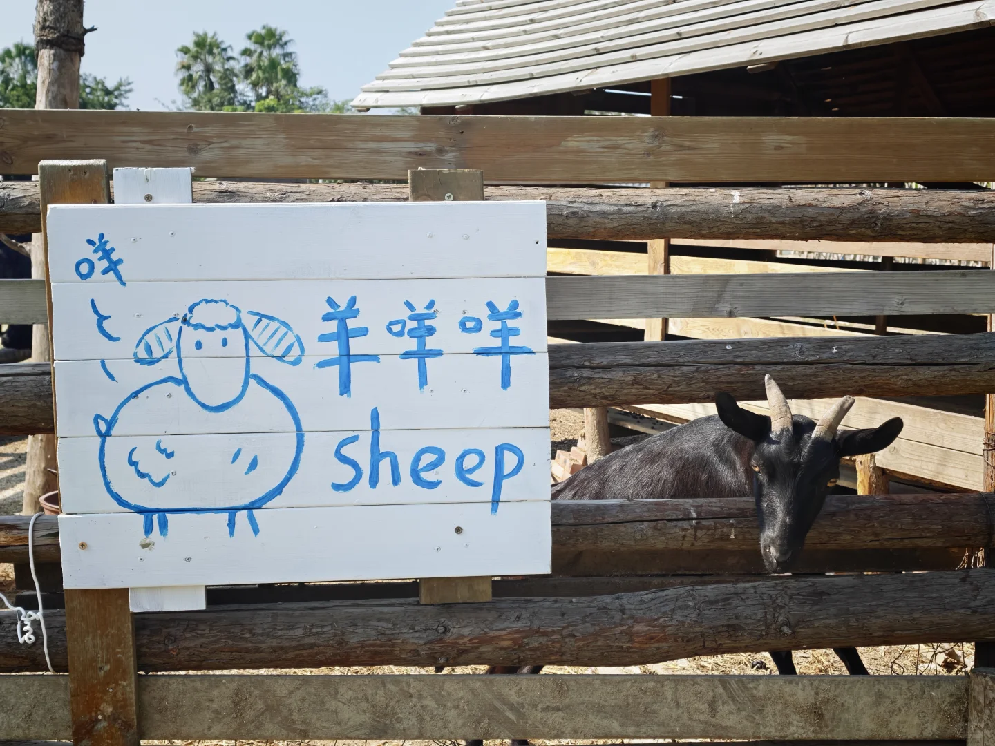 �ڹ㶫���ҵ��˺��õó��ֵ�����