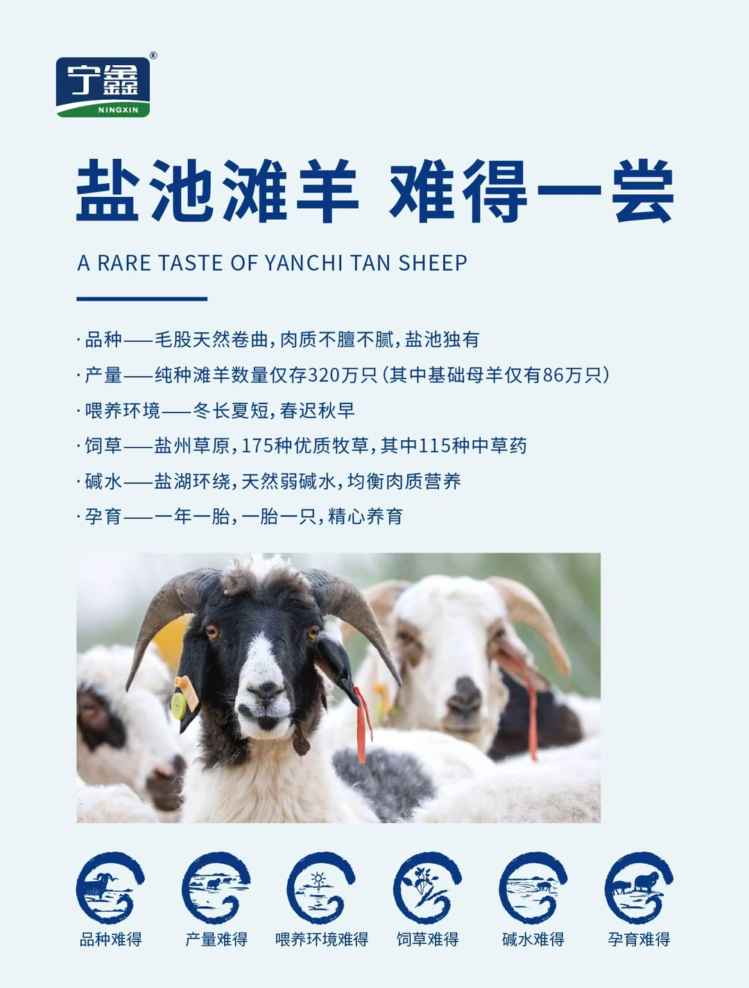 ���ͬ���γ�̲����Դר��