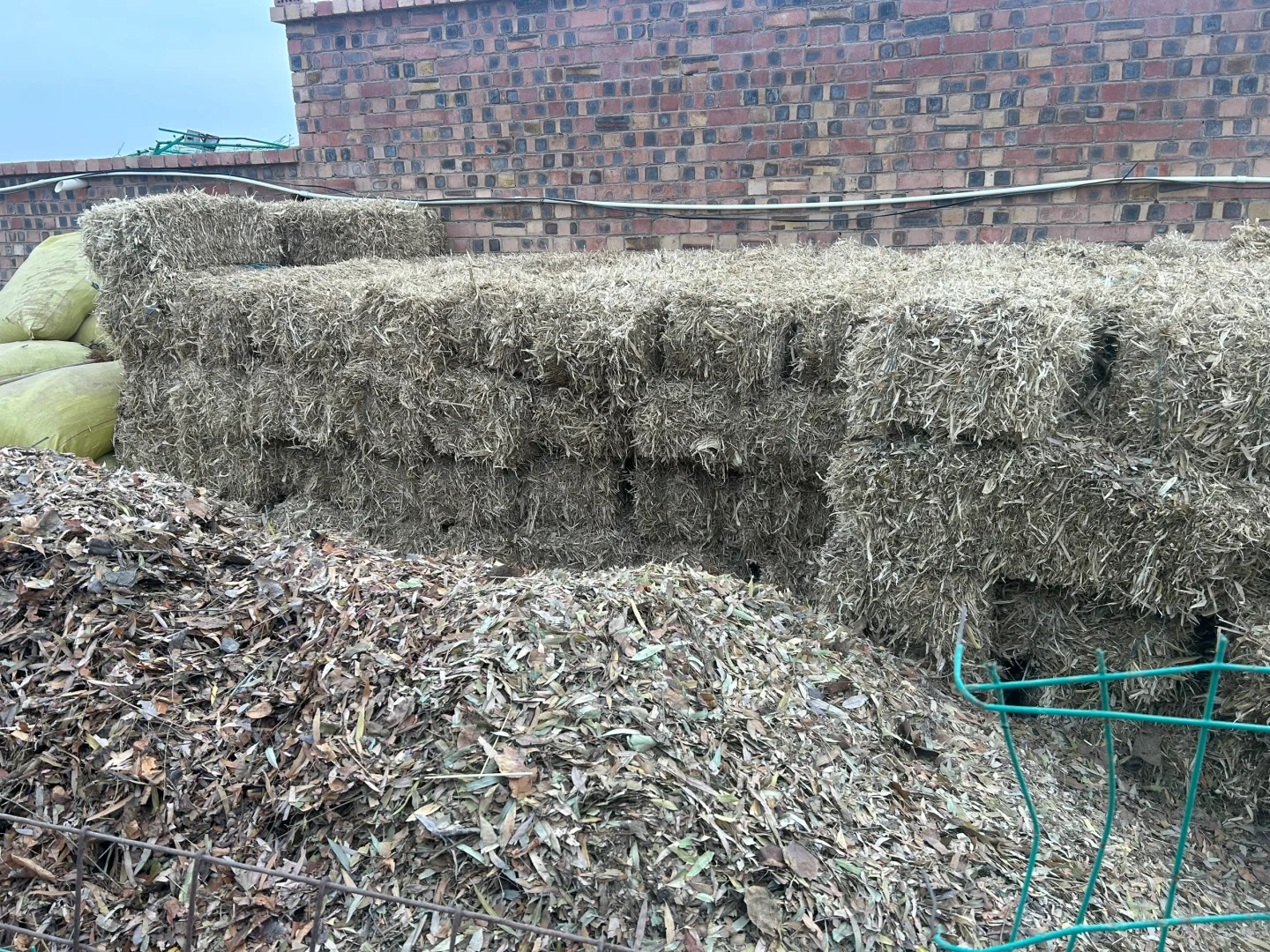 ��ʵ��������