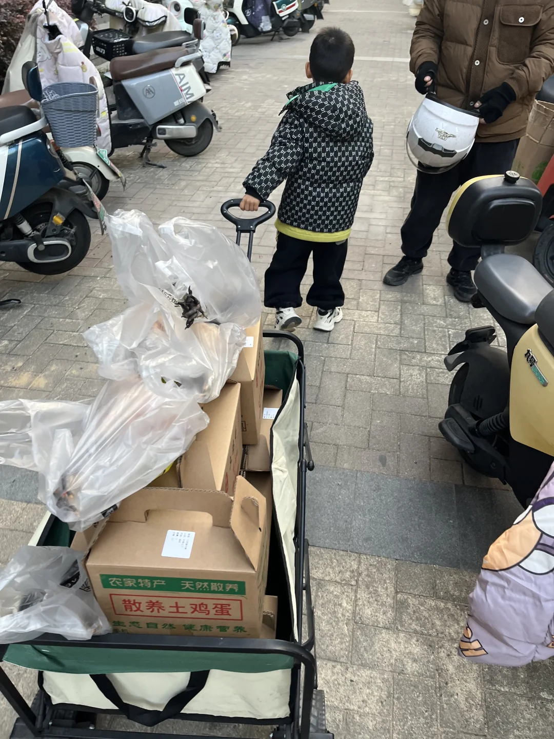 �ϼ�ɢ��������������ĸ��