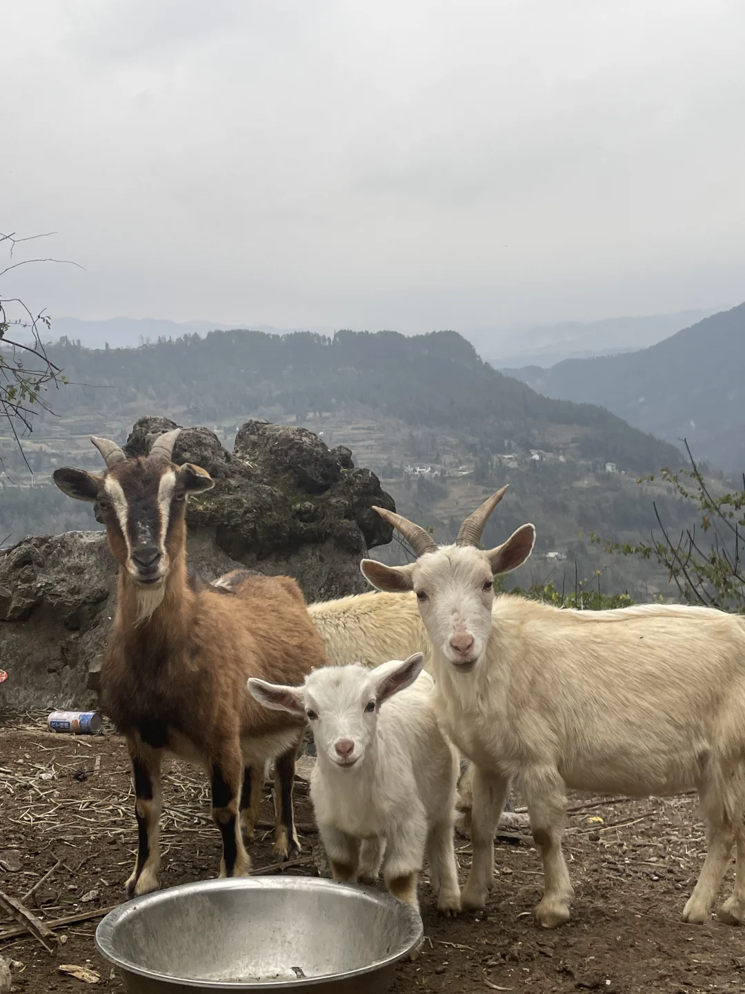 ������ʩ��ɽ��?