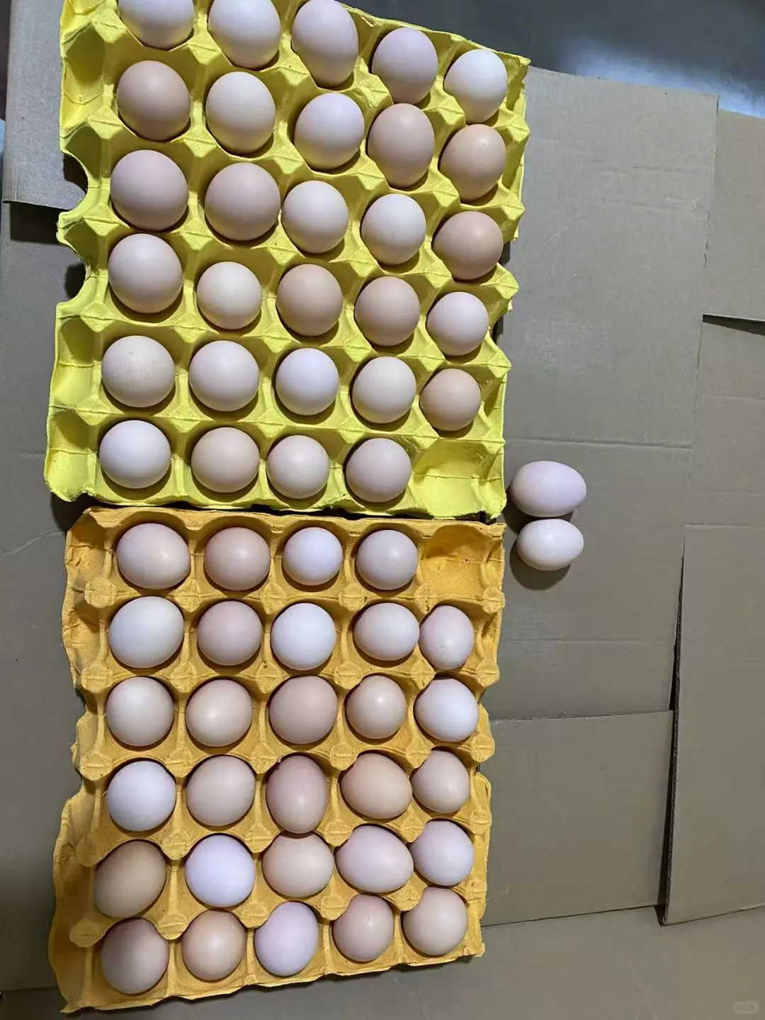 ������������Դ