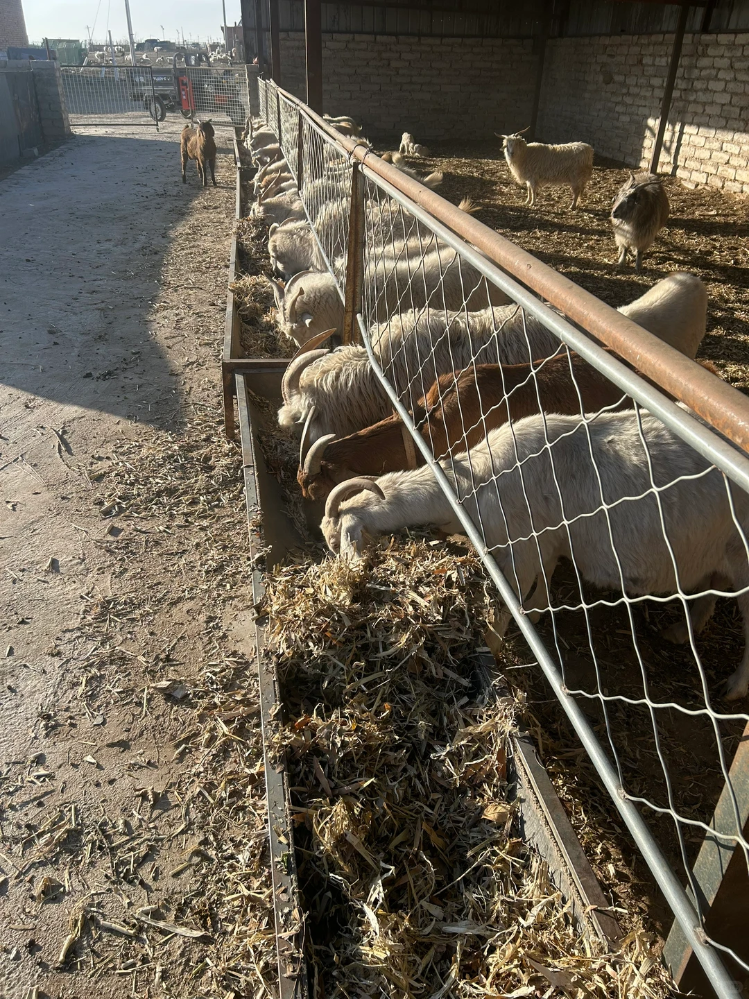 ��ʵ��������