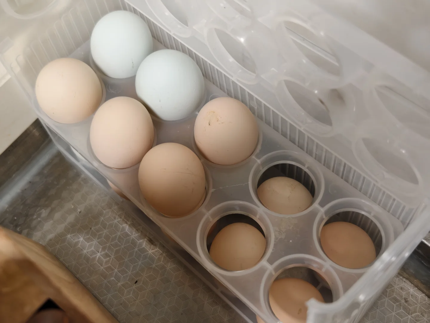 ��������ɡ�����Ǯһ�