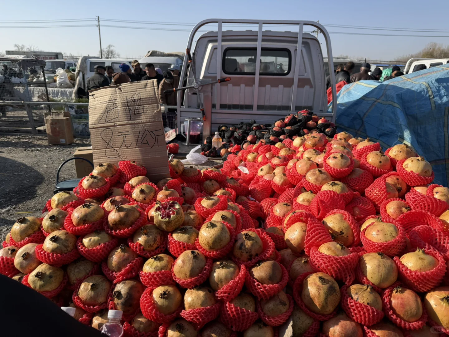 ��۱��ڵض�����ն��