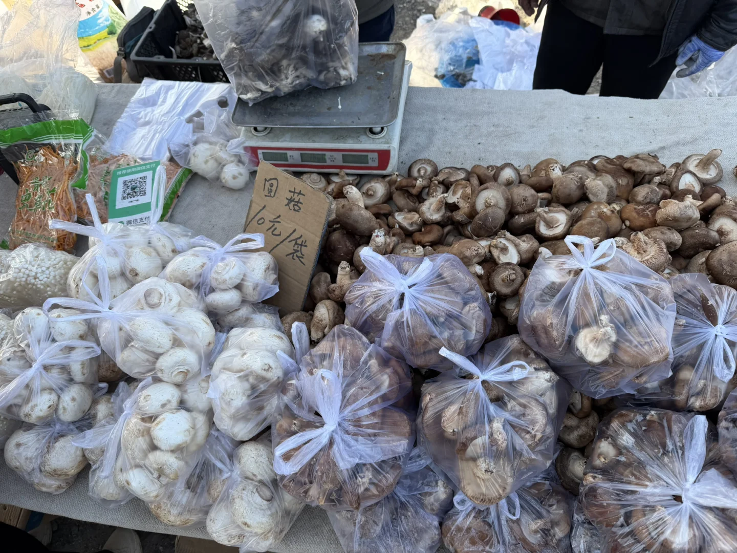 ��۱��ڵض�����ն��