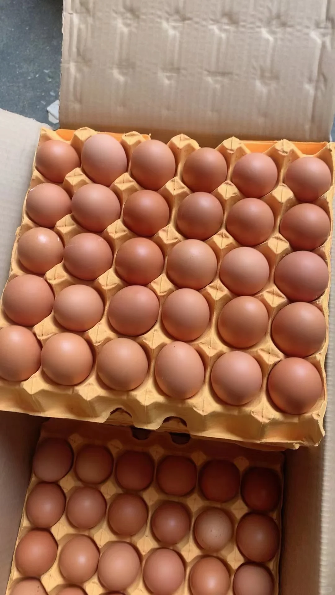 �����ɹ���Ӧ���ɳ��ڹ�Ӧ������