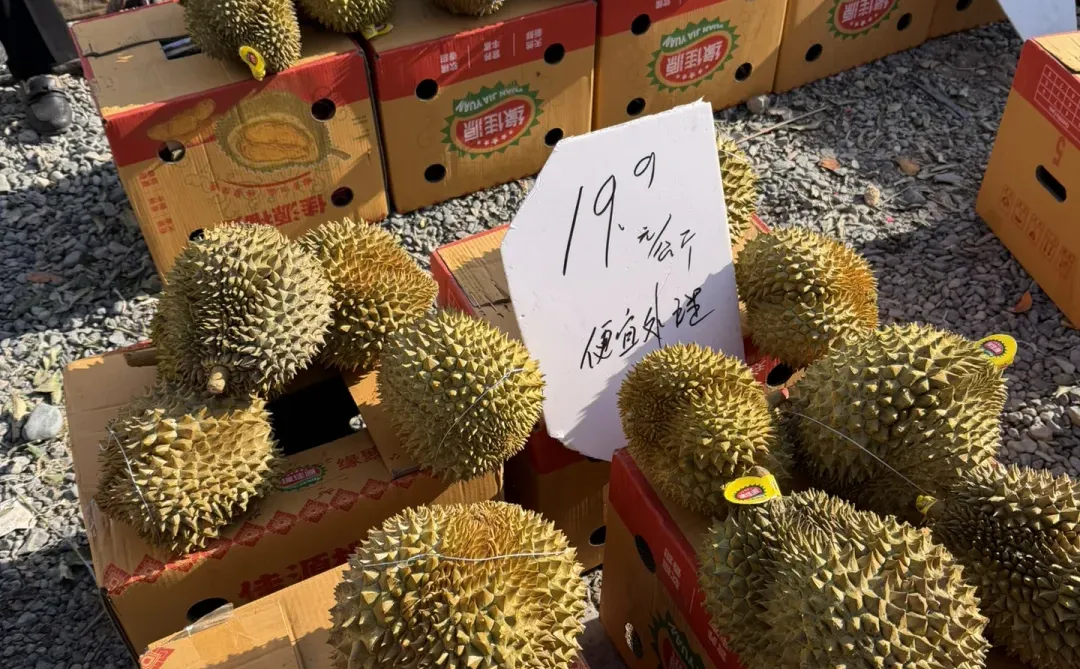 ��۱��ڵض�����ն��