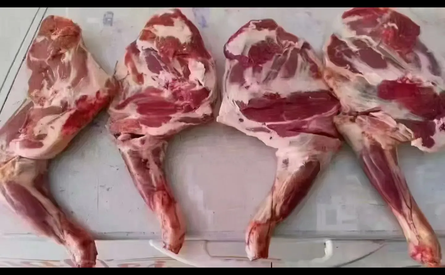 ���ɰ���������