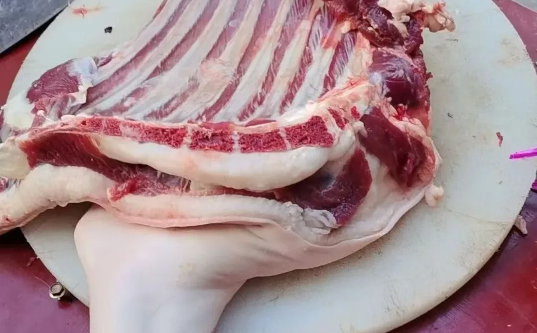 �����̯����