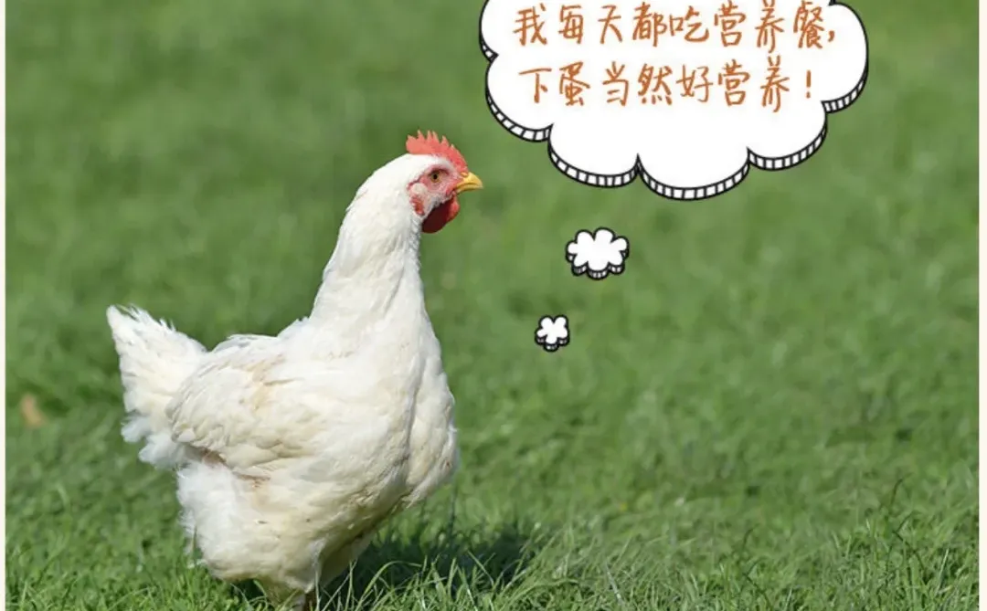 麦德龙周末抢蛋攻略!29.9元60枚鲜鸡蛋,冲啊