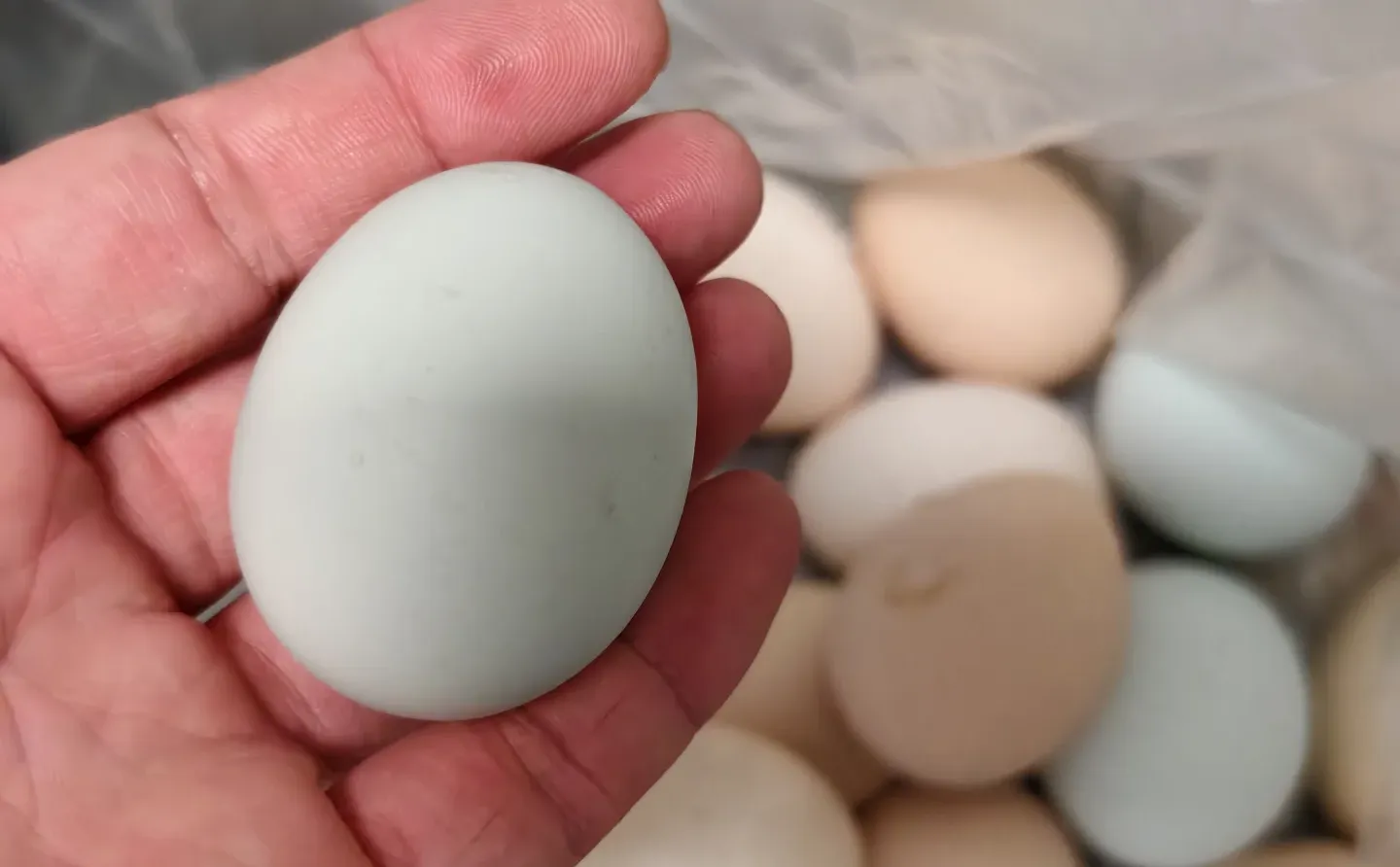 ��������ɡ�����Ǯһ�