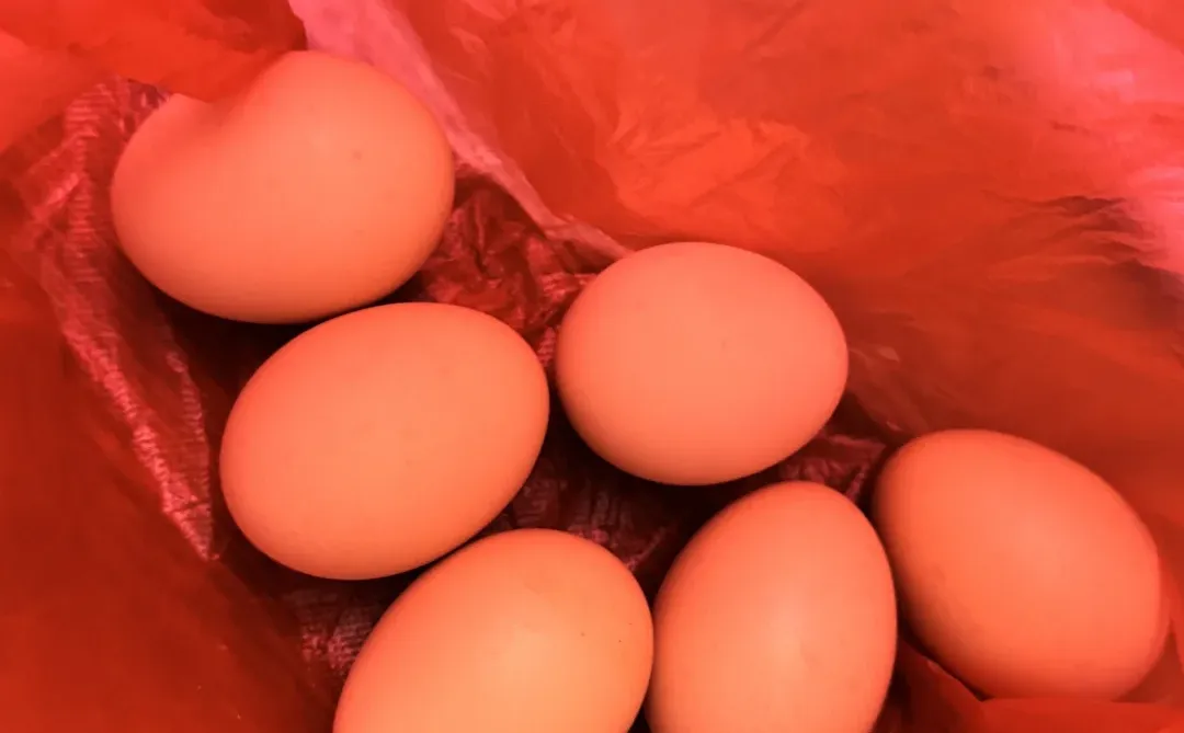 ������һ����ëǮһ���ļ�������