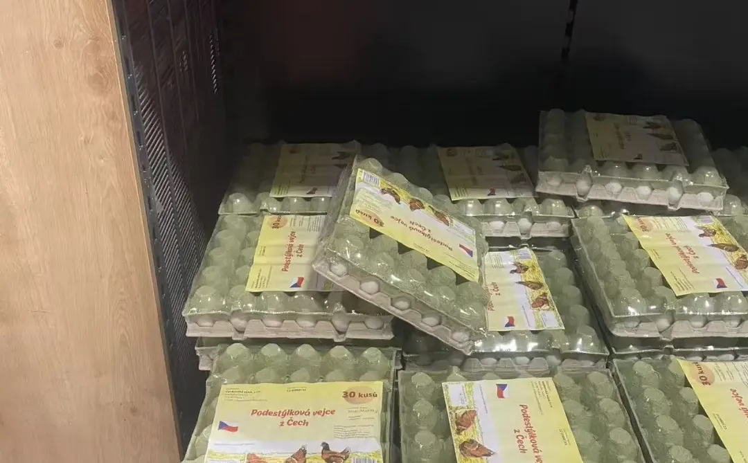 �ݿ��򼦵���?