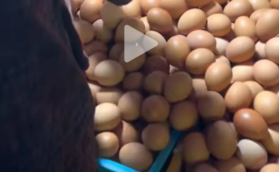 ���ོ���ҵμң���ɶɶ���У���ɶɶ����