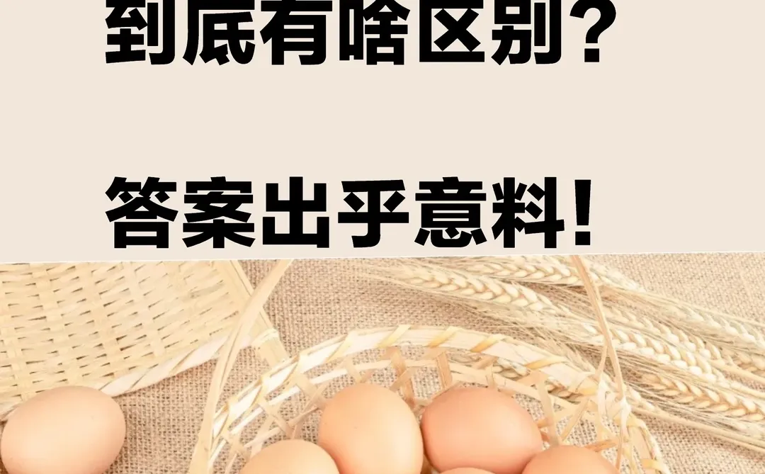 ��Ԫ�ͼ�ʮԪ�ļ�����������