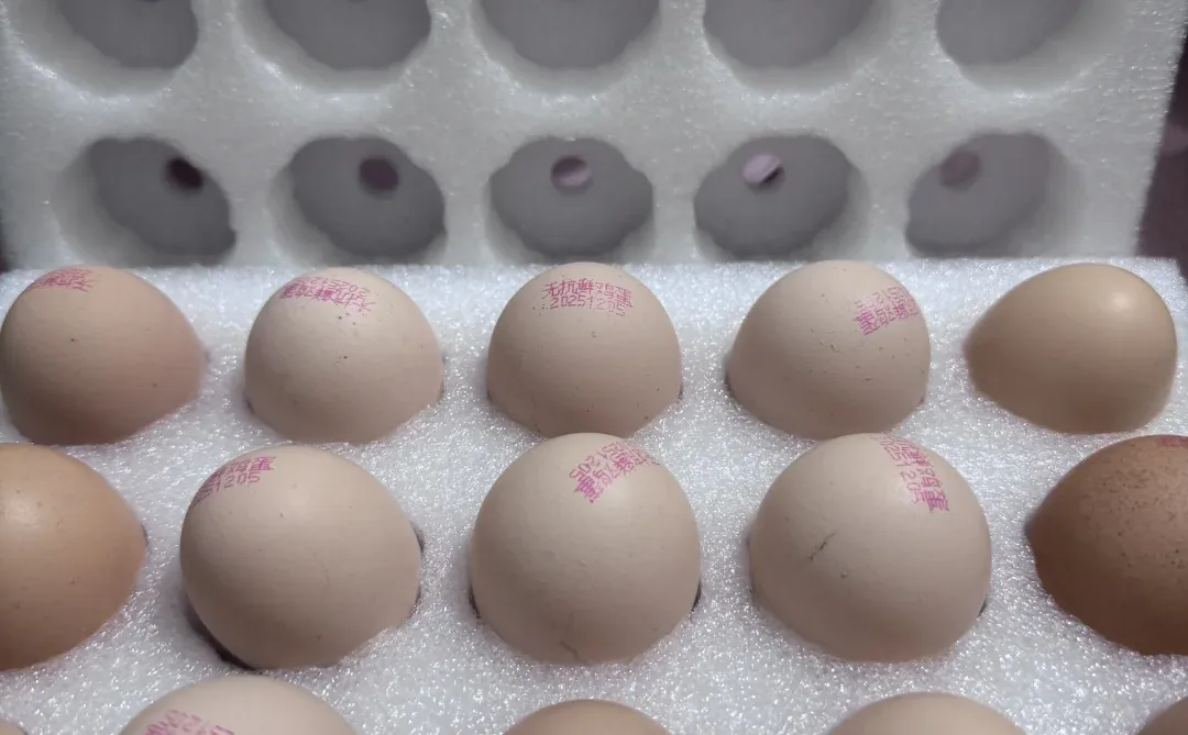 ������ɫ������4.9���15�ż���