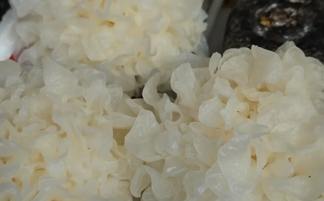 ���ʣ�����30һ�����