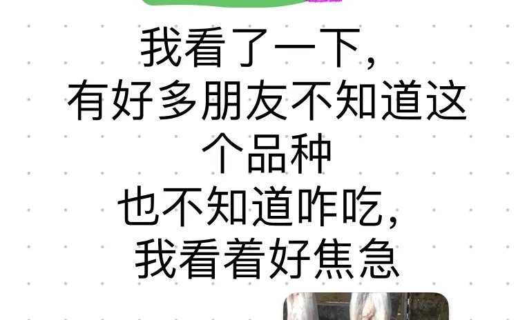 ��������������?��