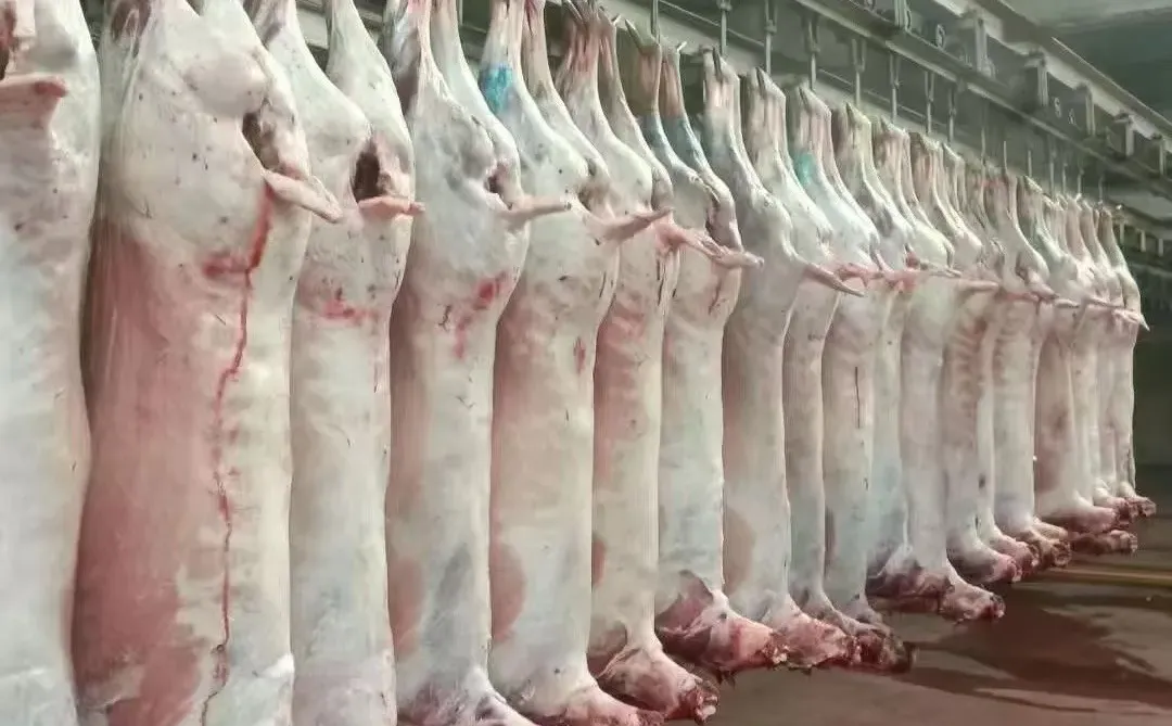 ������ ȫ������ ������֤