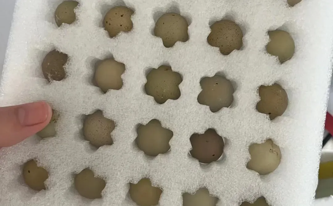 «������1Ԫһö ����Ҫ����