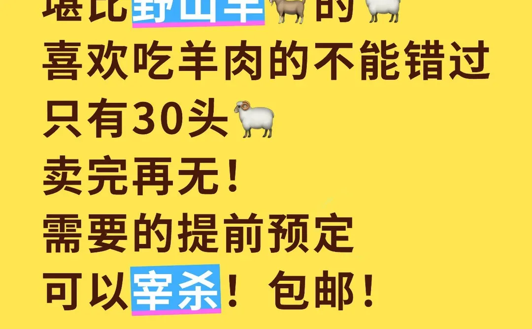 ��������ԵĿ�����