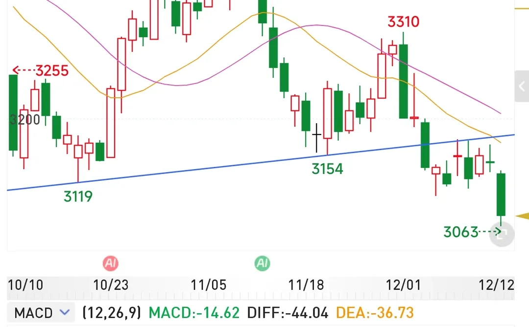 �ڻ��ռ�1212��������