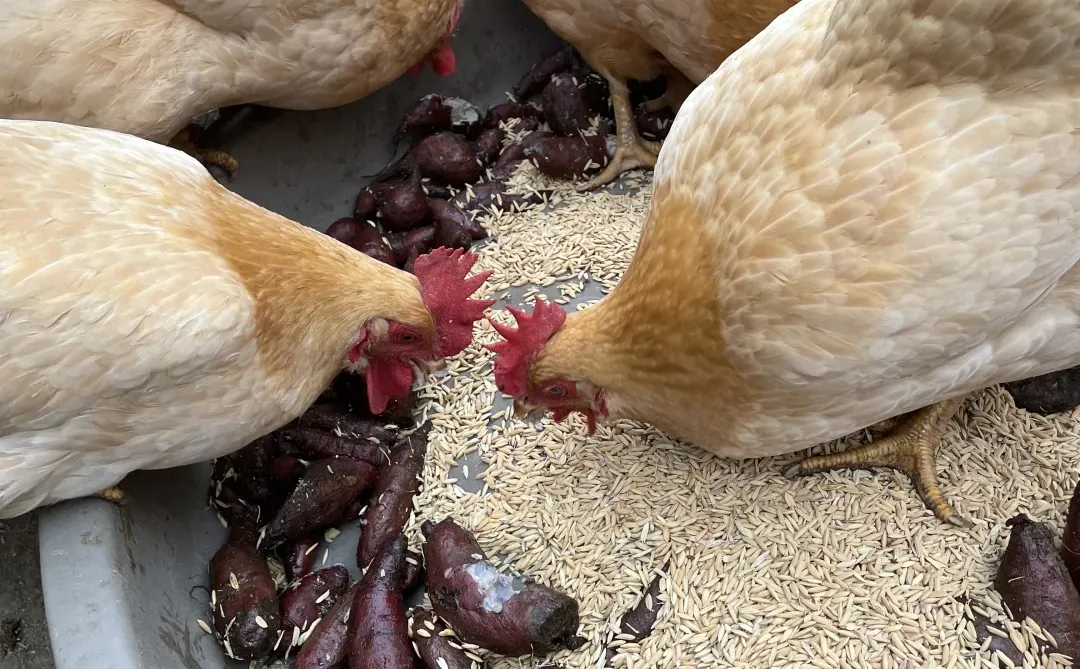 �Ҽҵļ�����Ȼ�󣬵��Ǳ��氡