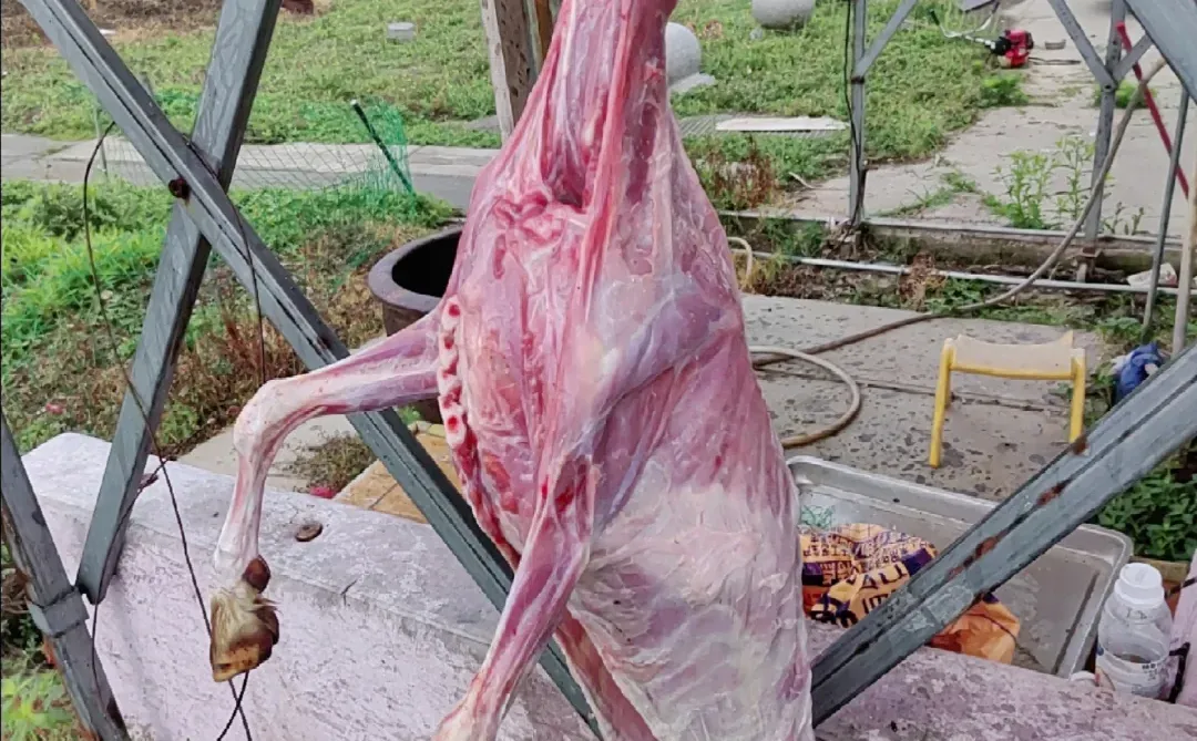 ������������Թ���