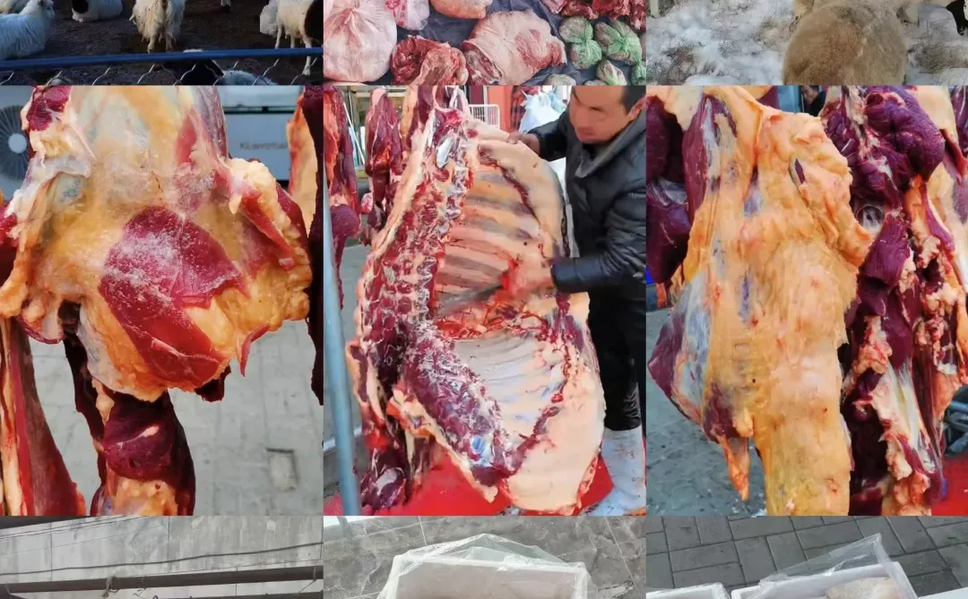 ������������������