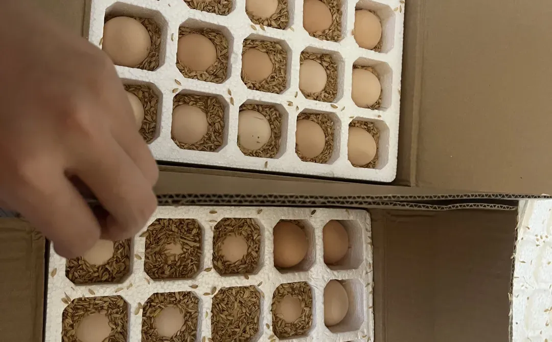 һ��С��޶��100������