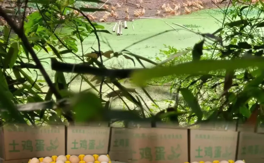 ������������Դ