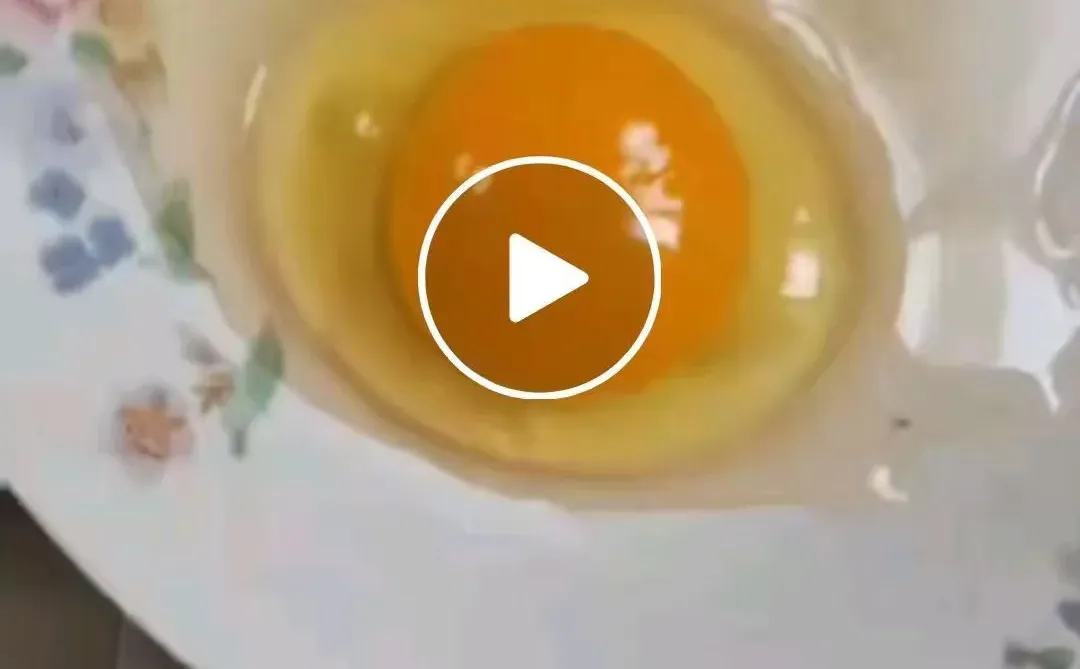 �����ɹ���Ӧ���ɳ��ڹ�Ӧ������